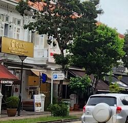 Chin Cheng Avenue (D15), Shop House #538120561